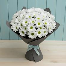 Букет цветов из:  Хризантемы #REPLACE_PRED# Сочи