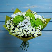 Букет скромность  в Сочи Букет цветов из:  Хризантемы в Сочи