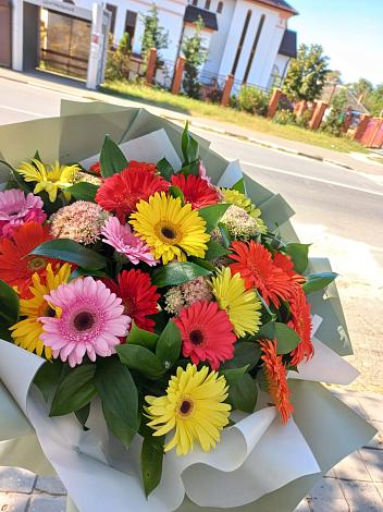 Букет цветов из: Герберы в Сочи